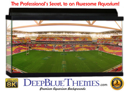 Buy Aquarium Background Stadium Suncorp Aquarium Background