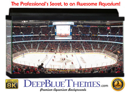 Buy Aquarium Background Stadium Tire Aquarium Background
