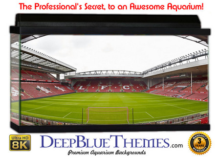 Buy Aquarium Background Stadium Wide Aquarium Background