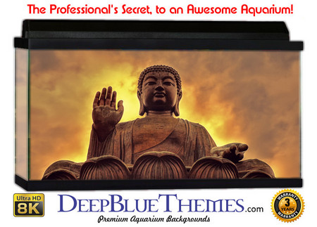 Buy Aquarium Background Statue Buddha Aquarium Background