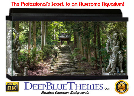 Buy Aquarium Background Statue Entry Aquarium Background