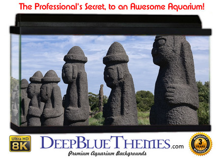 Buy Aquarium Background Statue Hats Aquarium Background
