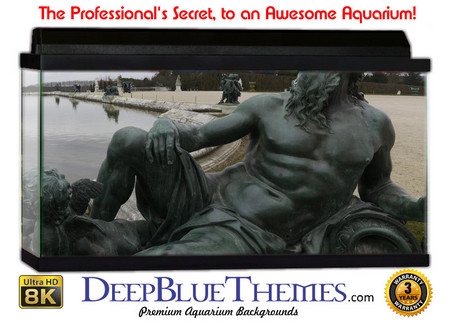 Buy Aquarium Background Statue King Aquarium Background