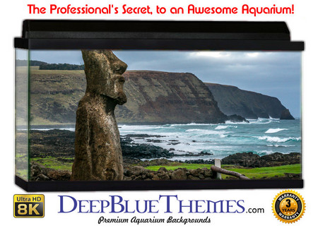 Buy Aquarium Background Statue Loner Aquarium Background