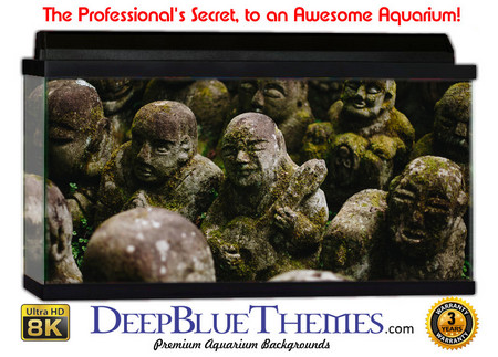 Buy Aquarium Background Statue Many Aquarium Background