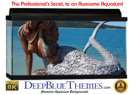 Buy Aquarium Background Statue Mermaid Aquarium Background