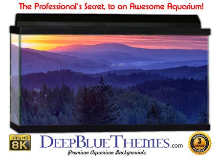 Buy Aquarium Background Sunset Blue Aquarium Background