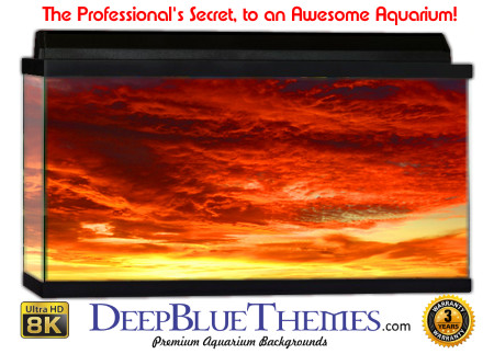 Buy Aquarium Background Sunset Peace Aquarium Background