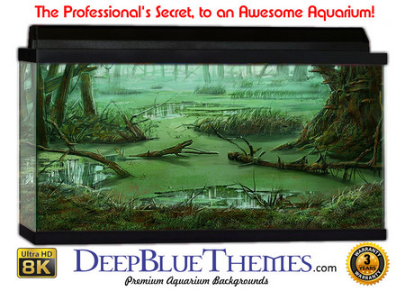 Buy Aquarium Background Swamp Dim Aquarium Background