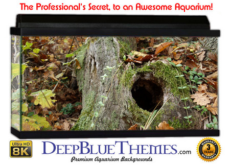 Buy Aquarium Background Trees Hole Aquarium Background