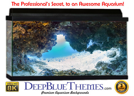 Buy Aquarium Background Underwater Cave Aquarium Background