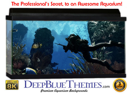 Buy Aquarium Background Underwater Diver Aquarium Background