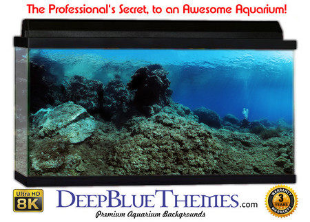 Buy Aquarium Background Underwater Edge Aquarium Background