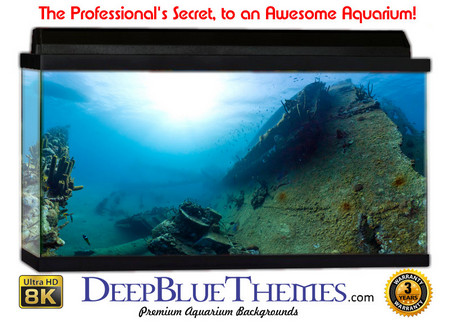 Buy Aquarium Background Underwater Find Aquarium Background