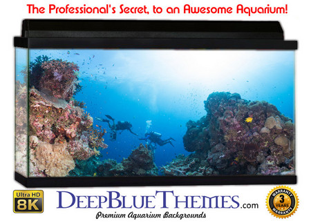 Buy Aquarium Background Underwater Glare Aquarium Background
