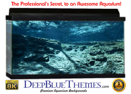 Buy Aquarium Background Underwater Rocky Aquarium Background