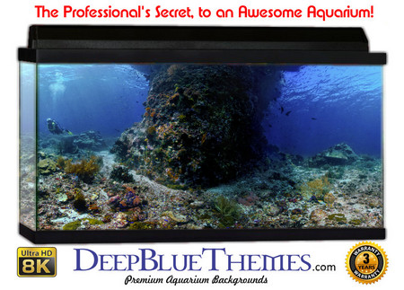 Buy Aquarium Background Underwater Tower Aquarium Background