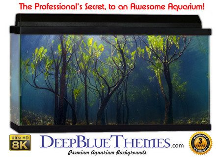Buy Aquarium Background Underwater Trees Aquarium Background