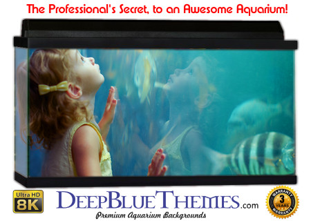 Buy Aquarium Background Unusual Child Aquarium Background