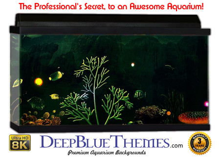 Various Sizes Trippy Skull/Aquarium Background Fish Tank Background