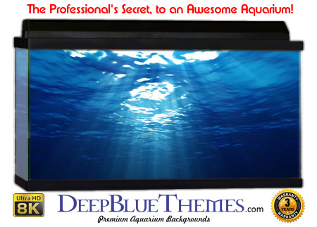 Buy Aquarium Background Water Blue Aquarium Background