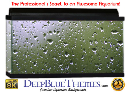 Buy Aquarium Background Water Droplets Aquarium Background