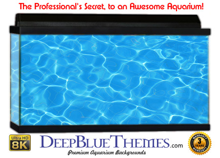 Buy Aquarium Background Water Pool Aquarium Background