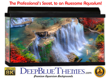 Buy Aquarium Background Waterfall Colorful Aquarium Background