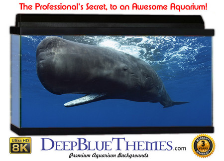 Buy Aquarium Background Whale Sperm Aquarium Background