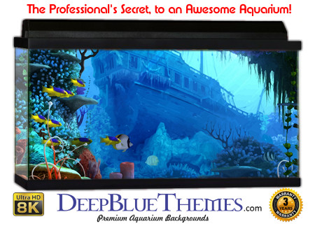 Buy Aquarium Background Wreck Art Beautiful Aquarium Background