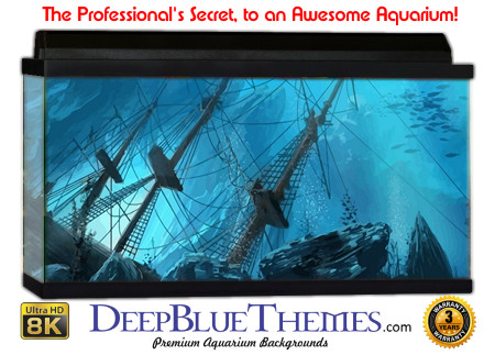 Buy Aquarium Background Wreck Art Masts Aquarium Background