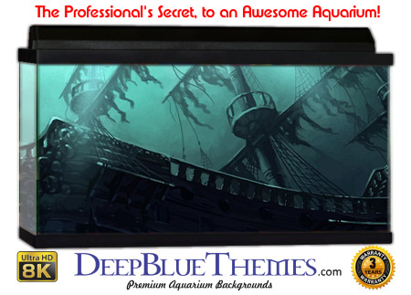 Buy Aquarium Background Wreck Art Pirate Aquarium Background