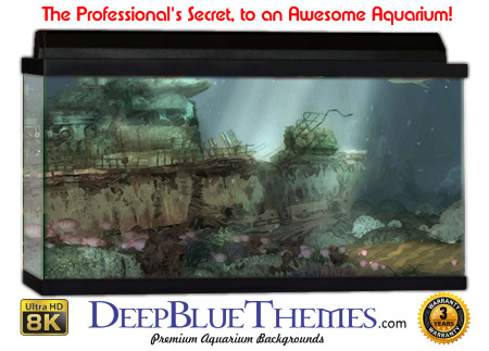 Buy Aquarium Background Wreck Art Render Aquarium Background