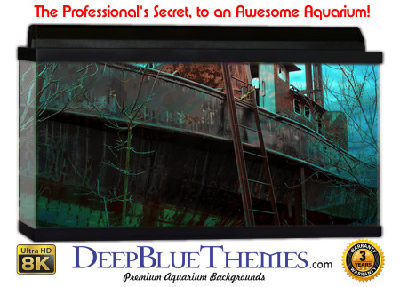 Buy Aquarium Background Wreck Blue Aquarium Background