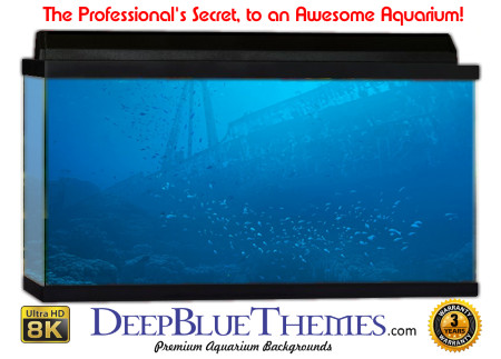 Buy Aquarium Background Wreck Distant Aquarium Background