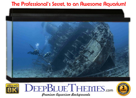 Buy Aquarium Background Wreck Dive Aquarium Background