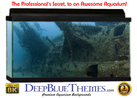 Buy Aquarium Background Wreck Side Aquarium Background